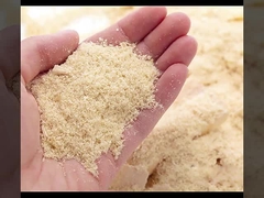 De Muurcomités van WPC Gecanneleerde Vuurvast en Vochtbestendige Fabrieks Directe Verkoop