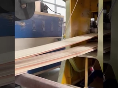 De Muurcomités van WPC Geluiddichte Fabrieks Directe Waterdicht en Vochtbestendig