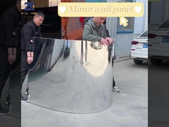 Paneel van het het paneel het vuurvaste houten vernisje van de spiegelmuur