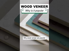 Stevige Binnenhuisarchitectuur 1.22m van het Vernisjepvc van de Breedte Houten Korrel Houten de Muurcomité