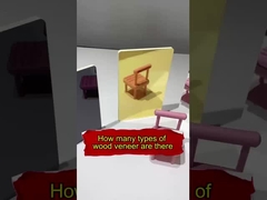 De Koolstof Hoog Crystal Panel Waterproof PETG van de bamboehoutskool polijst het Comité van de Spiegelmuur