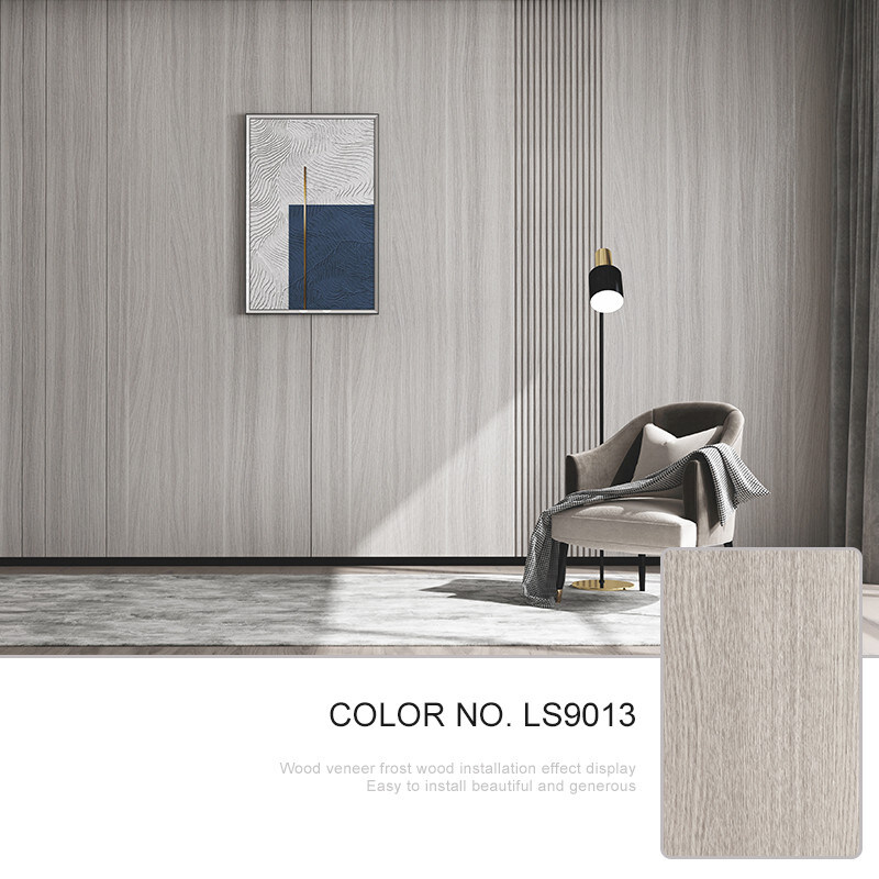 Modern Comité van de het Vernisjemuur van de Luxebinnenhuisarchitectuur Houten 5mm 8mm